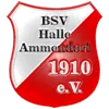 BSV Halle-Ammendorf (N)