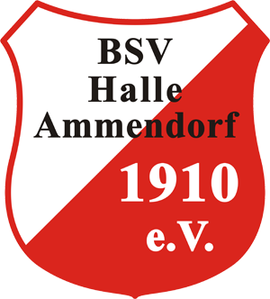 VL-Spiel beim BSV Halle-Ammendorf