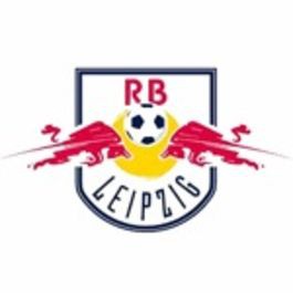 RB Leipzig gewinnt Toyota Cup 2013 der F - Jugend
